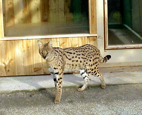 zoo1.jpg