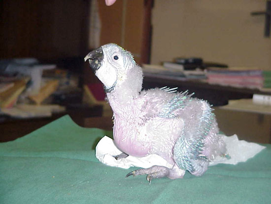 zoo7.jpg