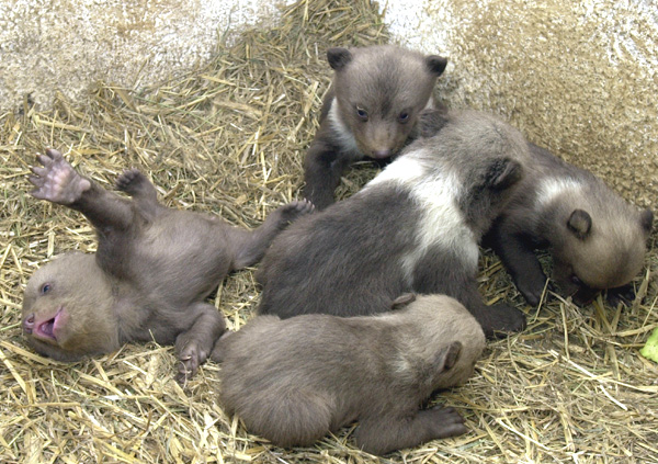 zoo10.jpg