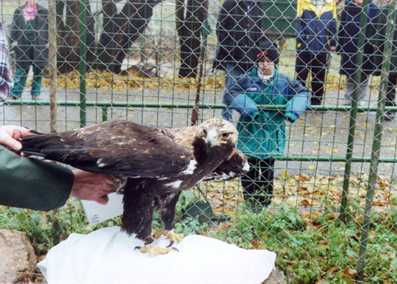 zoo12.jpg