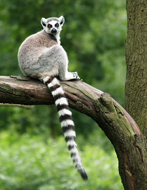 zoo16.jpg