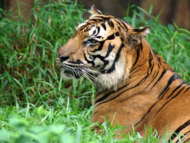 zoo19.jpg
