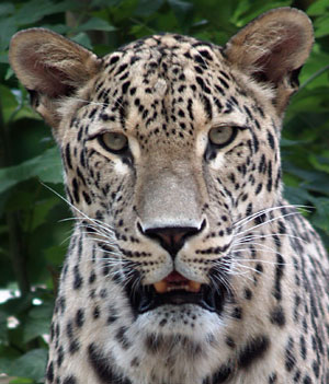zoo23.jpg