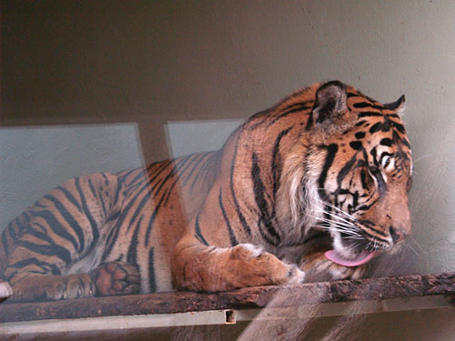 zoo24.jpg