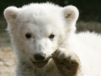 zooo15.JPG